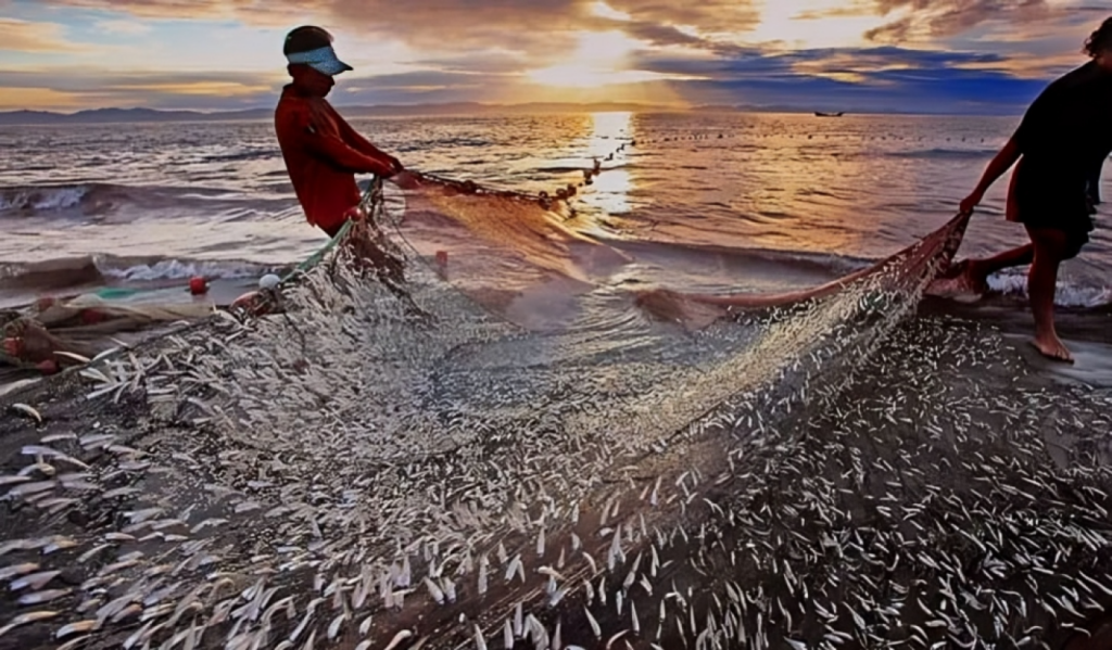 National Fisheries Week to Commence on 18 August 1754991588 National Fisheries Week to Commence on 18 August