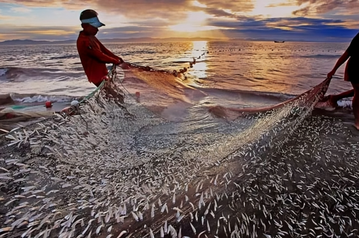 National Fisheries Week to Commence on 18 August