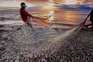 National Fisheries Week to Commence on 18 August