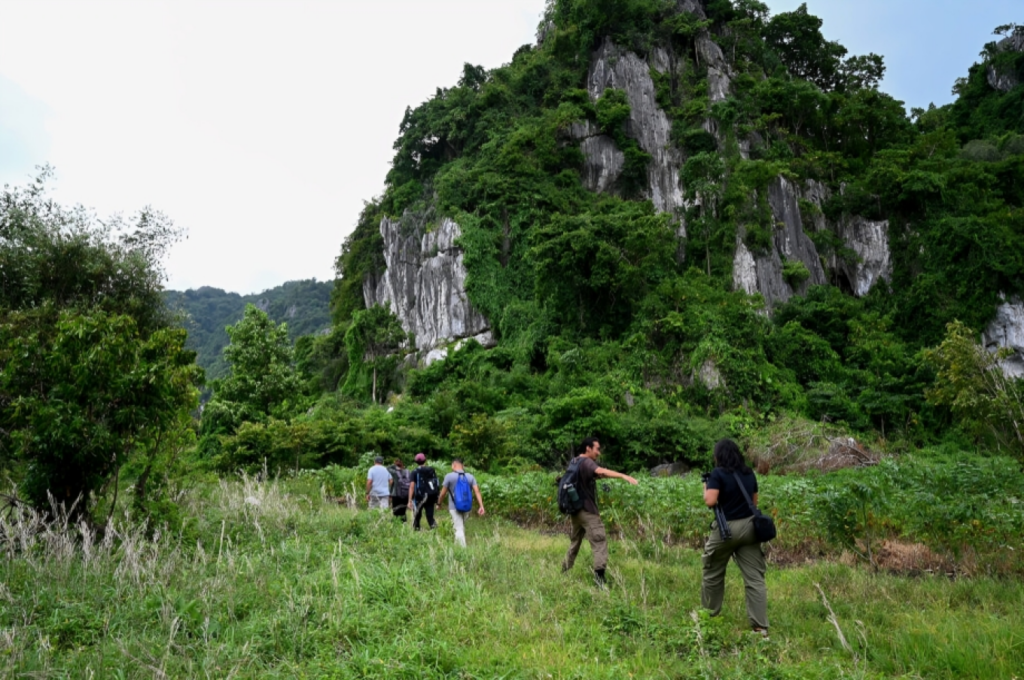 New Species Discovered in Cambodia’s Threatened Karst Landscape 3 New Species Discovered in Cambodias Threatened Karst Landscape 1754632918 New Species Discovered in Cambodia’s Threatened Karst Landscape