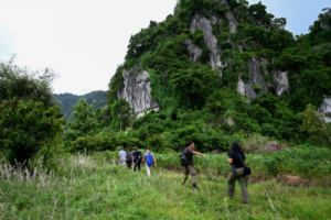 New Species Discovered in Cambodia’s Threatened Karst Landscape