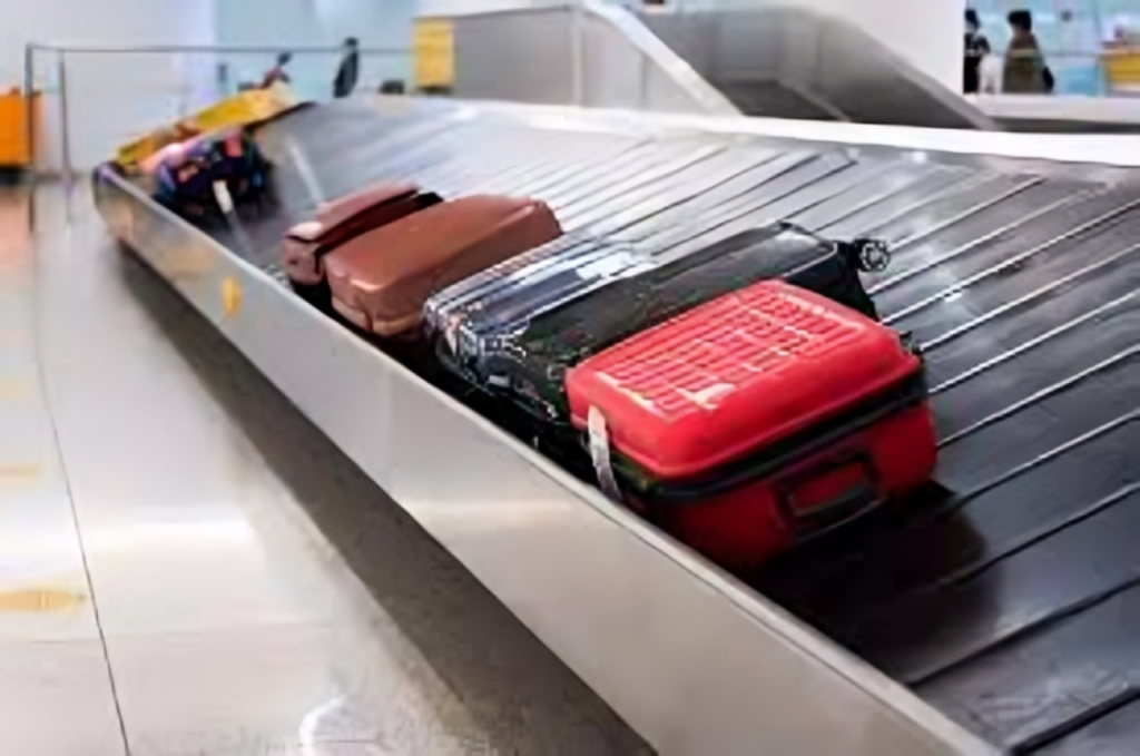 New Zealand Woman Arrested After Transporting Toddler in Suitcase 1754220994 New Zealand Woman Arrested After Transporting Toddler in Suitcase