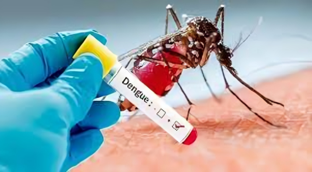 One More Death from Dengue 209 New Cases Identified 1754141591 One More Death from Dengue, 209 New Cases Identified
