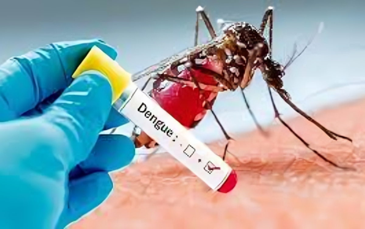 One More Death from Dengue, 209 New Cases Identified