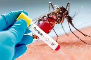One More Death from Dengue, 209 New Cases Identified