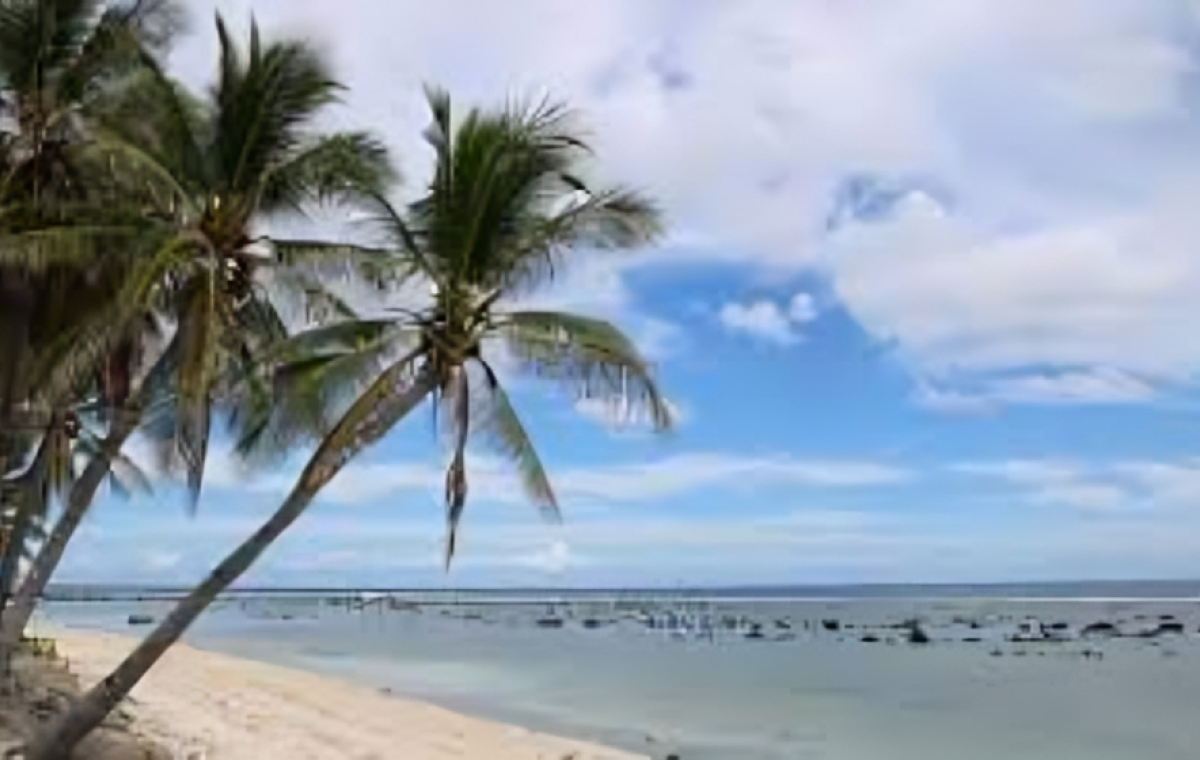 Pacific Microstate Sells First Passports to Fund Climate Action