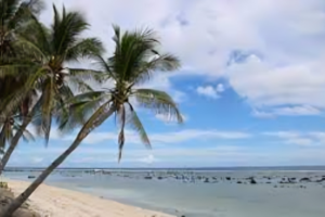 Pacific Microstate Sells First Passports to Fund Climate Action