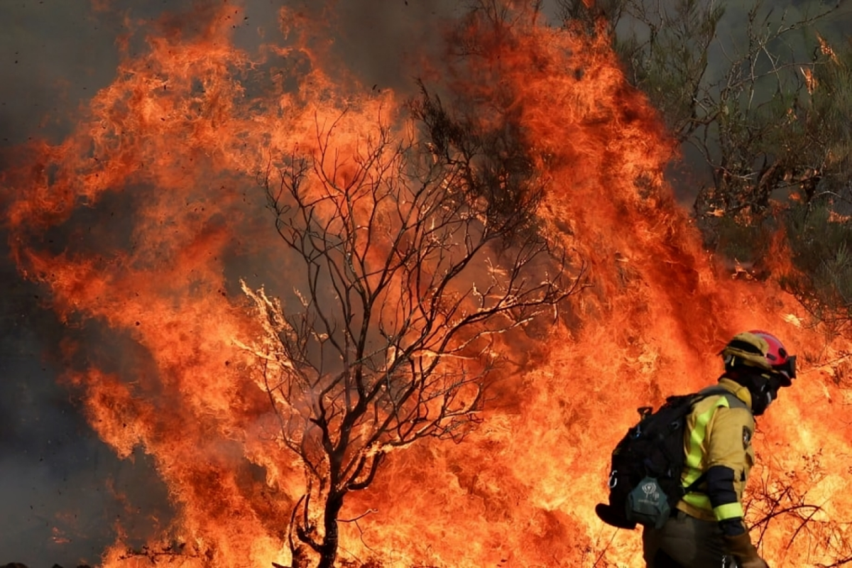 Portugal Wildfires Claim First Victim as Spain Faces Extreme Fire Risk