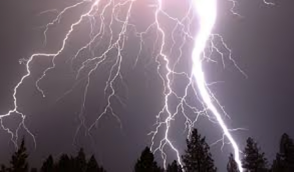 Two Killed in Lightning Strike in Rajbari 1754227848 Two Killed in Lightning Strike in Rajbari