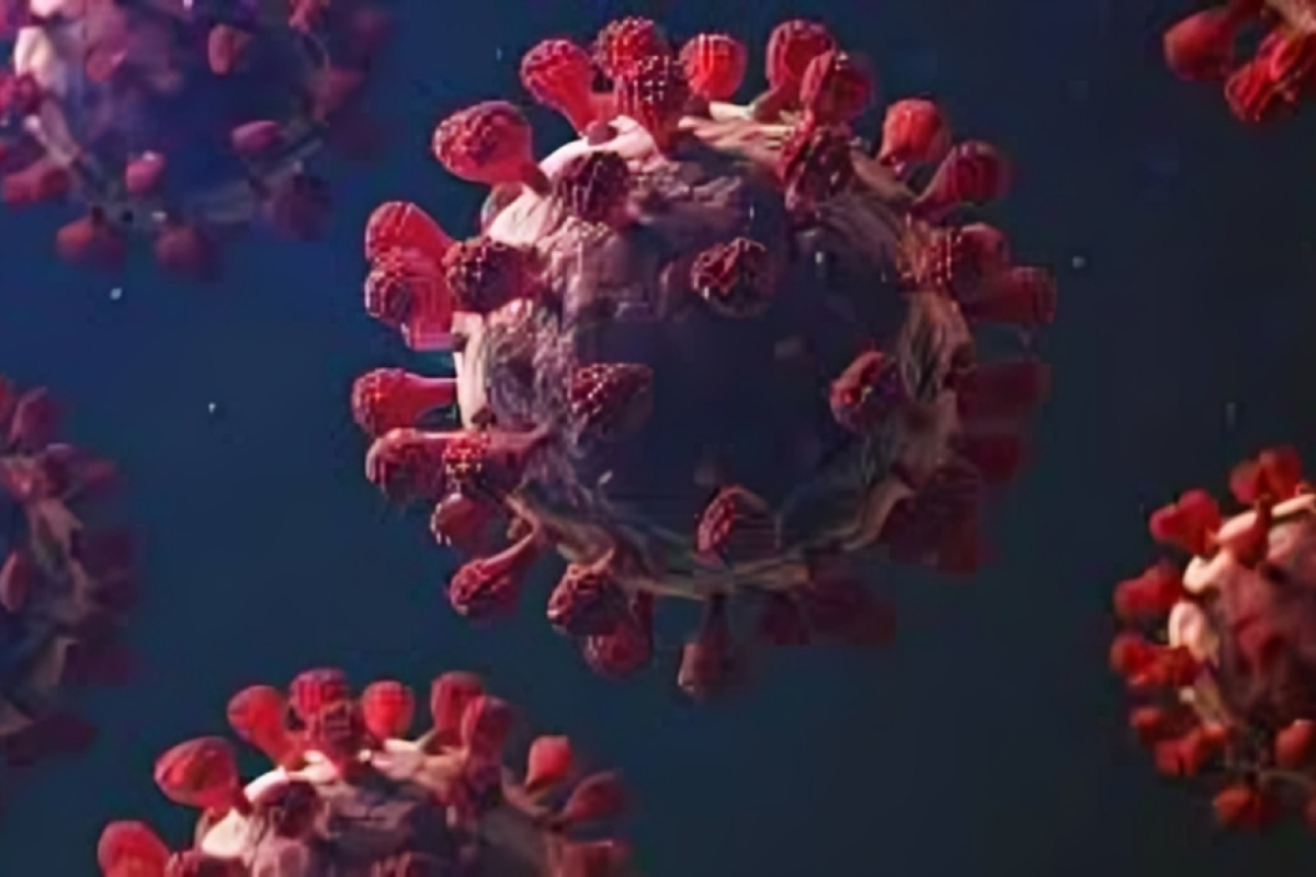 Two New COVID-19 Cases Reported in 24 Hours