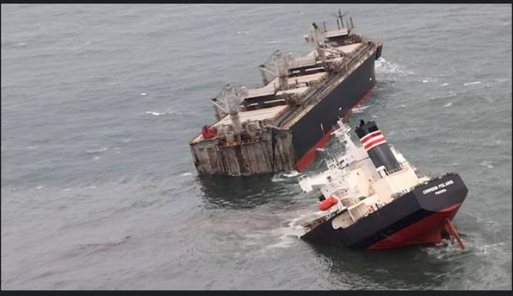Yacht and Cargo Ship Collide off Southern Japan 1755077830 Yacht and Cargo Ship Collide off Southern Japan