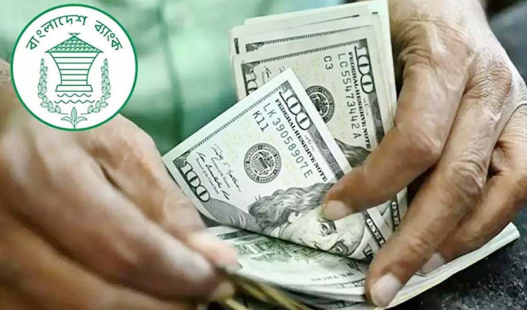 1 billion dollars in remittances received in the first 10 days of november 1 Billion Dollars in Remittances Received in the First 10 Days of November
