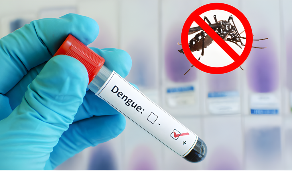 1007 hospitalised with dengue in 24 hours three deaths reported 1,007 hospitalised with dengue in 24 hours, three deaths reported