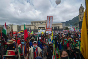 146 Land and Environmental Defenders Killed Globally in 2024, One-Third in Colombia: NGO