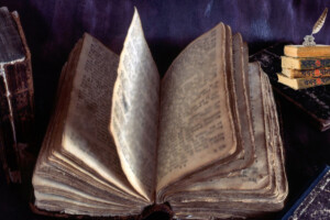 15 November: On This Day in History