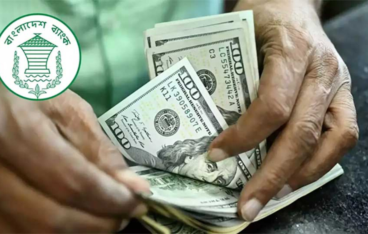 17% Growth in Remittance Inflows Observed Up to 24 September
