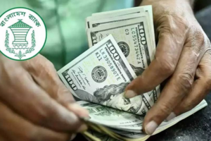 18.4% Growth in Remittance Inflow up to 22 September