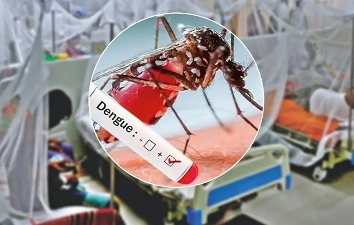 202 Hospitalised with Dengue in a Single Day