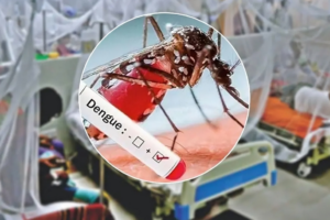 202 Hospitalised with Dengue in a Single Day