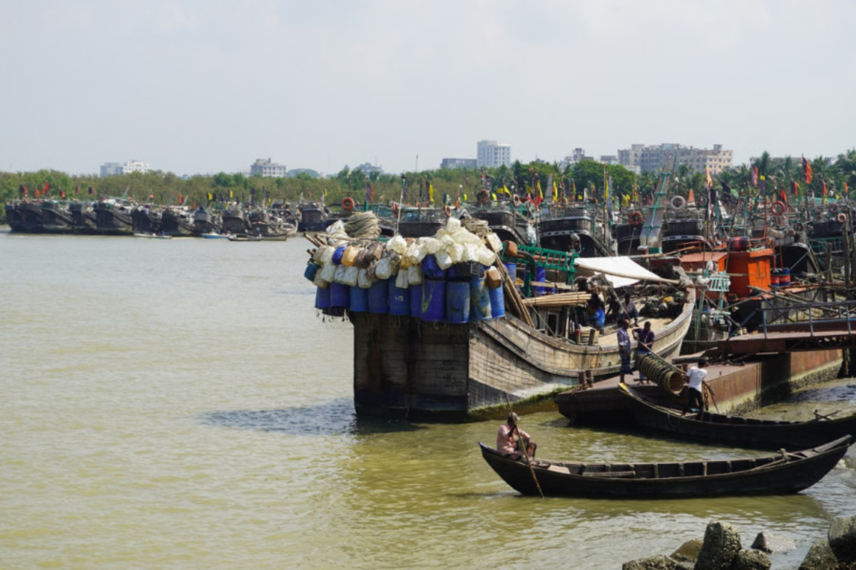 22-Day Hilsa Fishing Ban Comes into Effect in Patuakhali