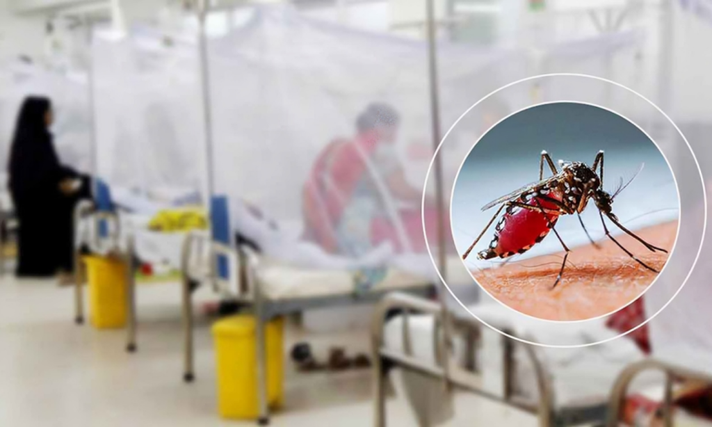380 hospitalised with dengue in last 24 hours 380 Hospitalised with Dengue in Last 24 Hours