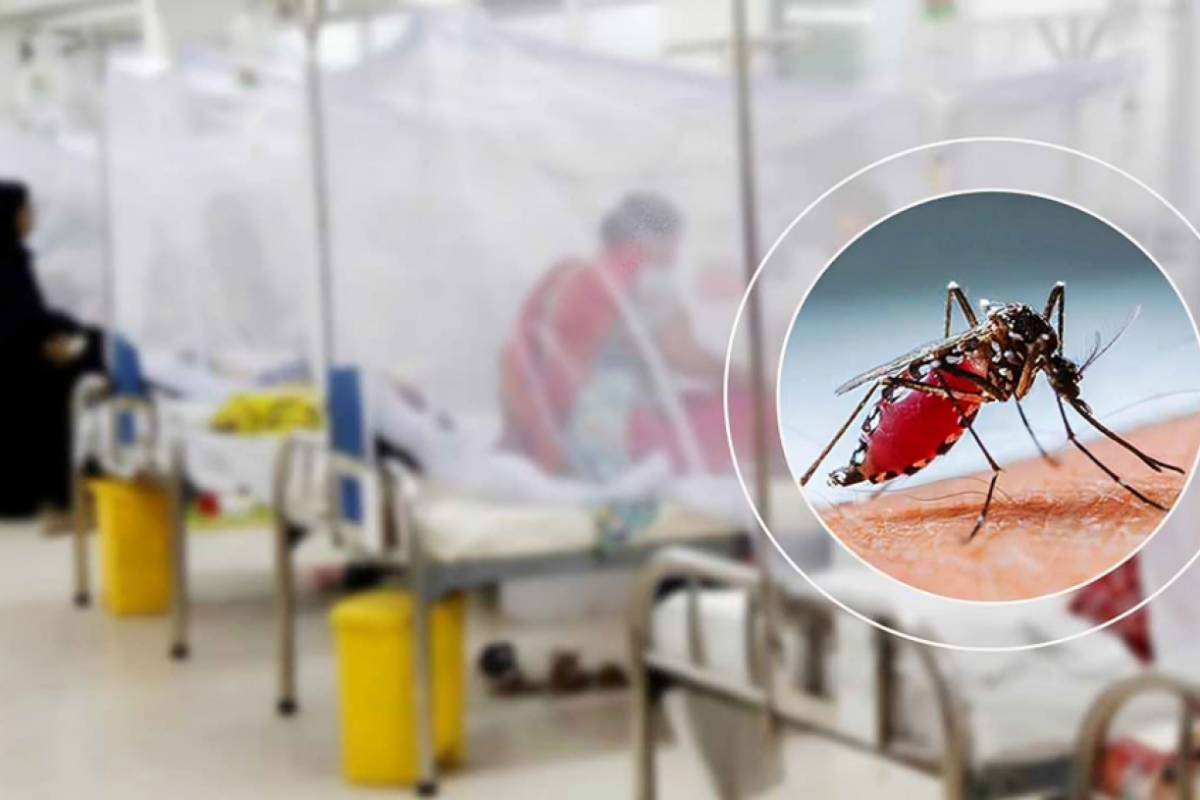 380 Hospitalised with Dengue in Last 24 Hours