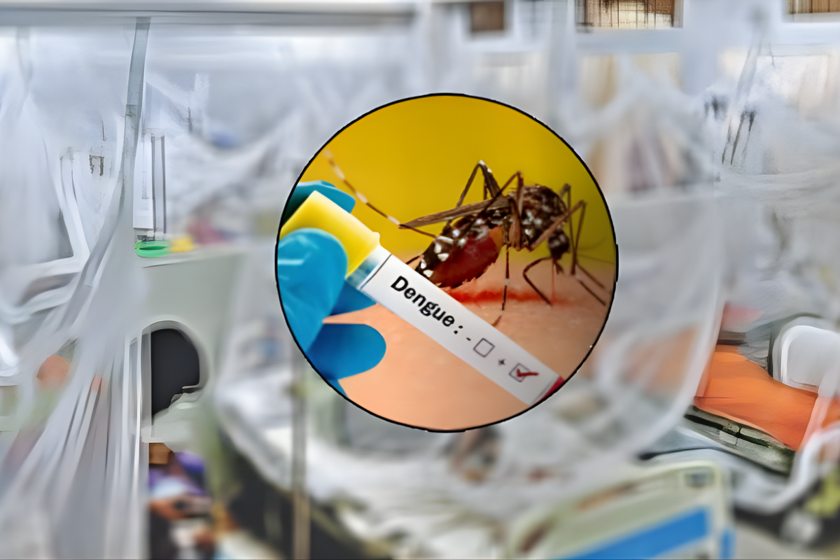 436 New Dengue Cases in 24 Hours, No Deaths Reported