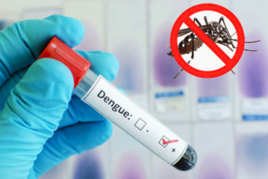 5 Die from Dengue, 792 Admitted to Hospitals