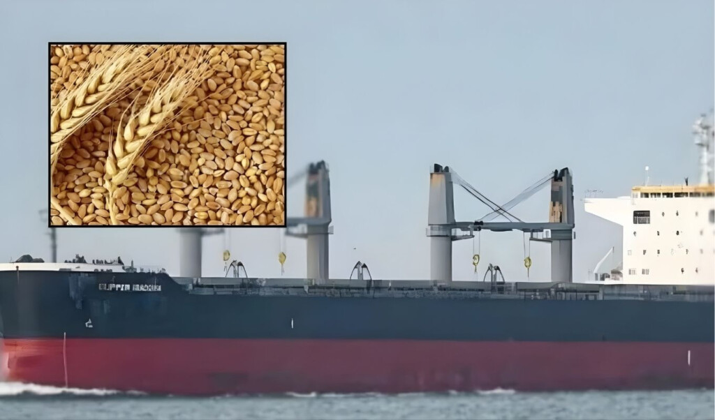 57203 metric tonnes of wheat have arrived in the country from the united states 57,203 metric tonnes of wheat have arrived in the country from the United States