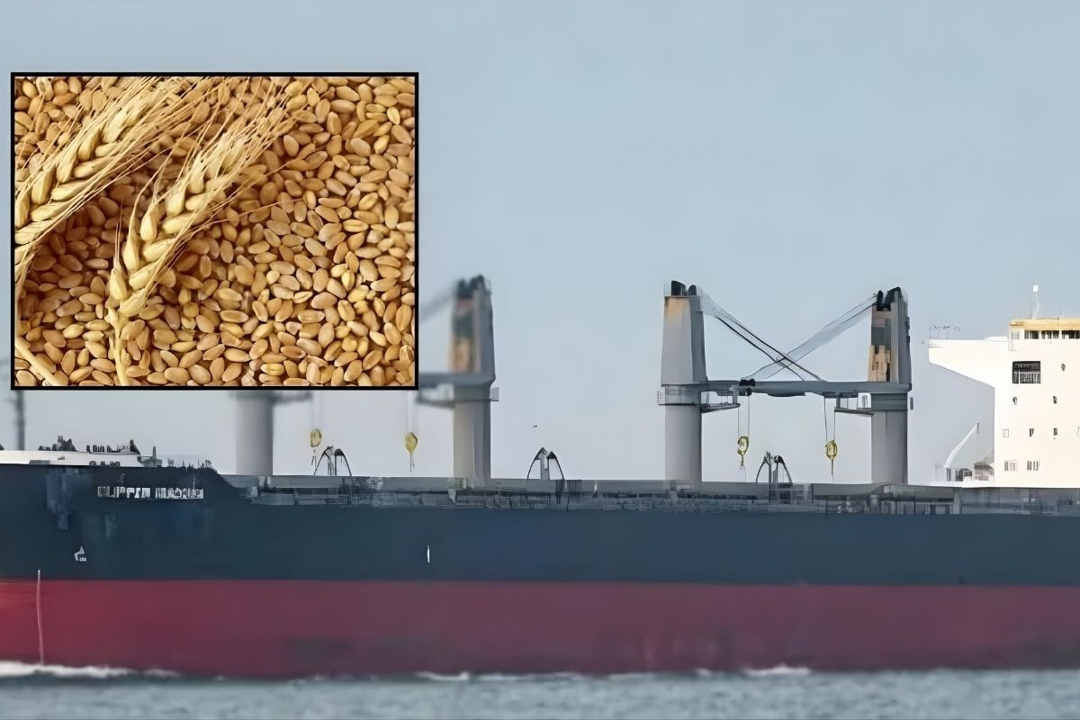 57,203 metric tonnes of wheat have arrived in the country from the United States