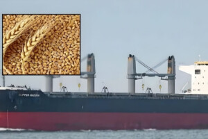 57,203 metric tonnes of wheat have arrived in the country from the United States