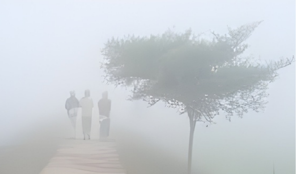 a wave of severe cold in 12 districts A wave of severe cold in 12 districts