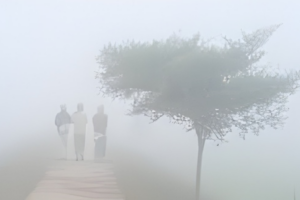 A wave of severe cold in 12 districts