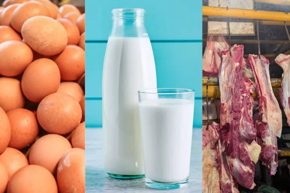 Affordable Eggs, Milk, Meat in Dhaka Ramadan