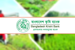 Agricultural Bank Makes Remarkable Leap in Remittance Collection