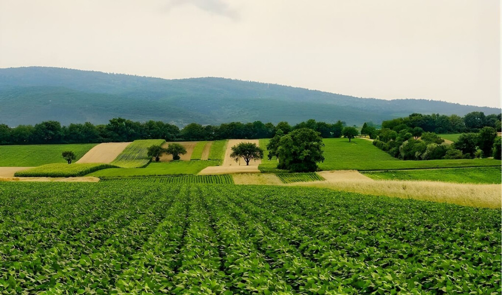 "Agricultural insurance scheme to be relaunched in Armenia – Minister" 3 agricultural insurance scheme to be relaunched in armenia minister "Agricultural insurance scheme to be relaunched in Armenia – Minister"