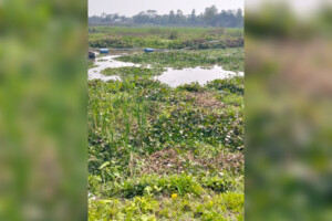 Alleged Illegal Sand Extraction Linked to MP Relative