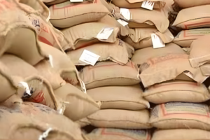 Alleged MP Rice Quota Sparks Controversy