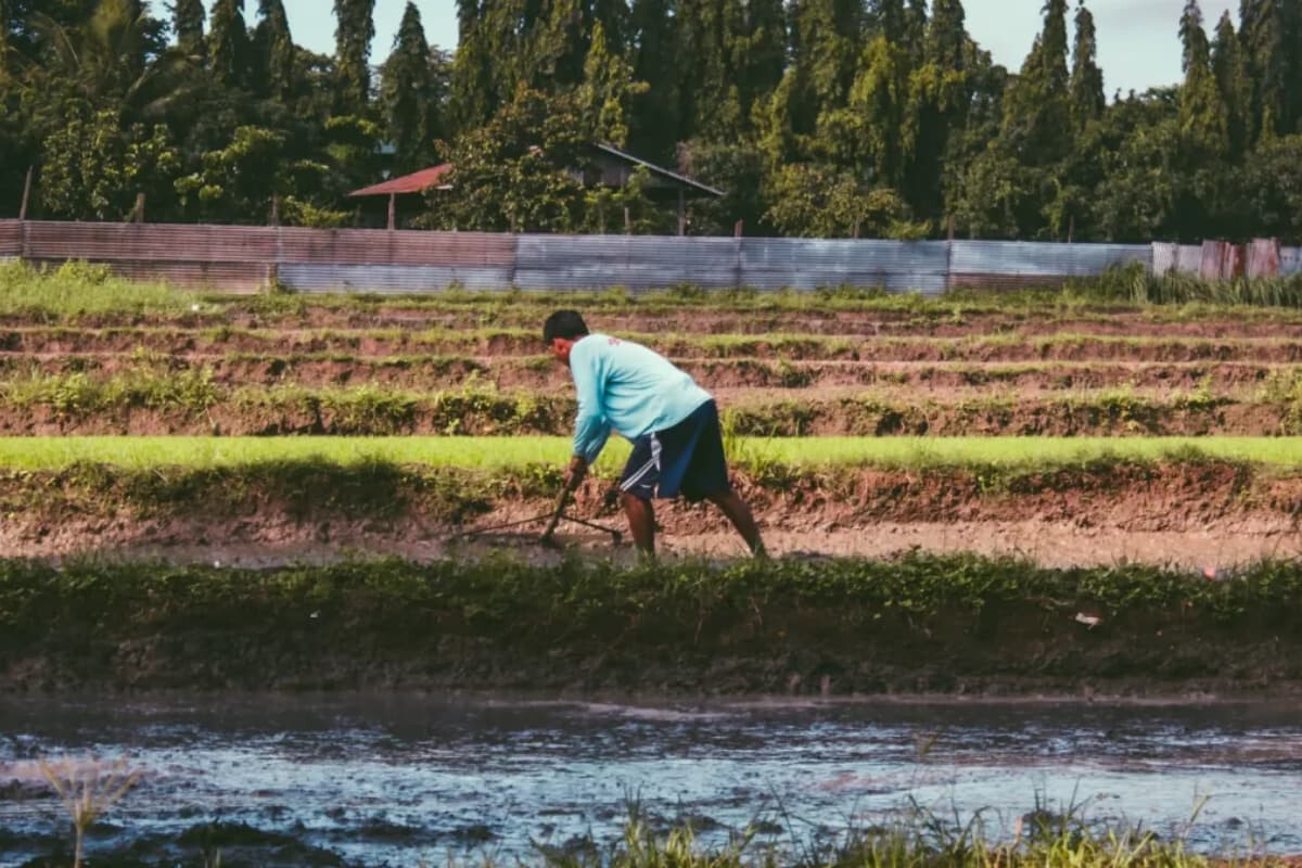 Asia-Pacific Crop Insurance Market Set Surge