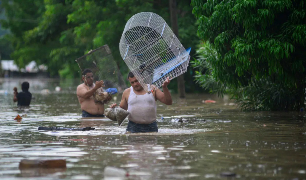 At Least 23 Dead in Mexico Following Heavy Rains 2 at least 23 dead in mexico following heavy rains At Least 23 Dead in Mexico Following Heavy Rains