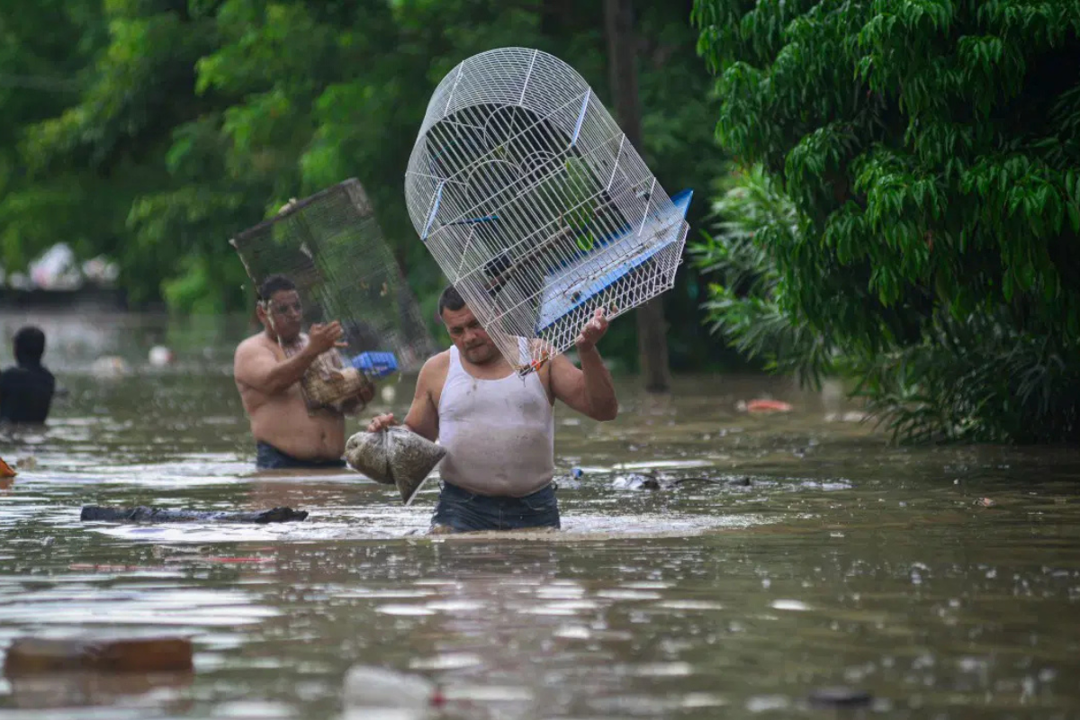 At Least 23 Dead in Mexico Following Heavy Rains
