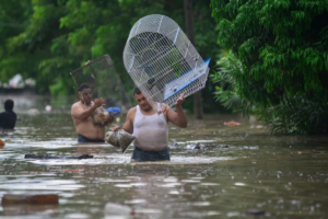 At Least 23 Dead in Mexico Following Heavy Rains