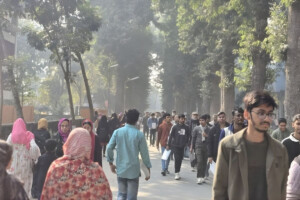 At Rajshahi University, 82 candidates compete for each admission seat.