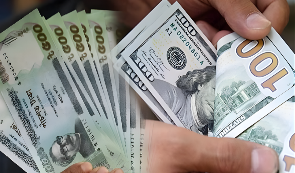 bangladeshi taka shows mixed trends against global currencies Bangladeshi Taka Shows Mixed Trends Against Global Currencies