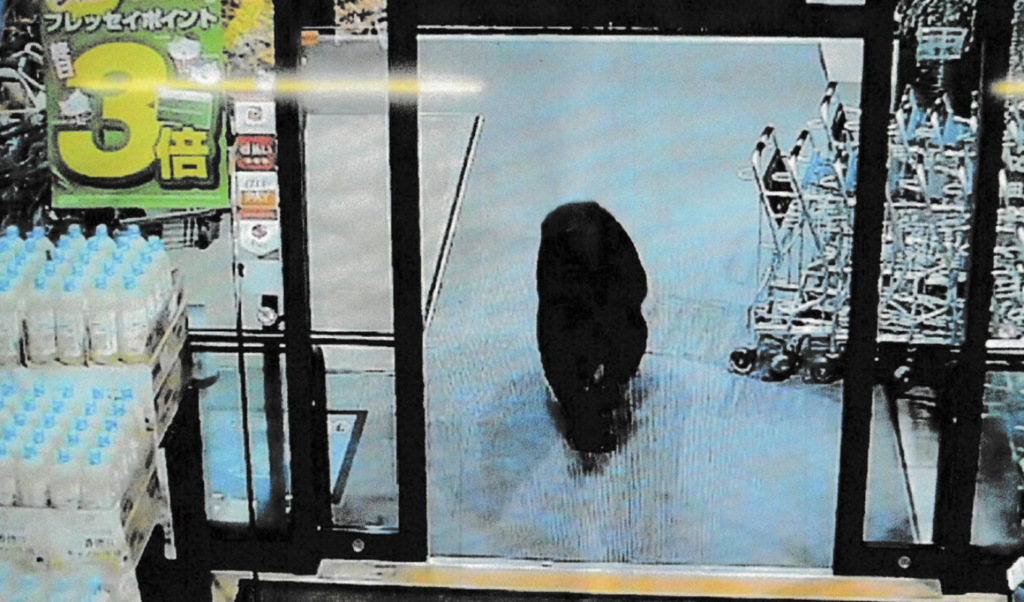 bear injures two in japanese supermarket man killed in separate attack Bear Injures Two in Japanese Supermarket; Man Killed in Separate Attack