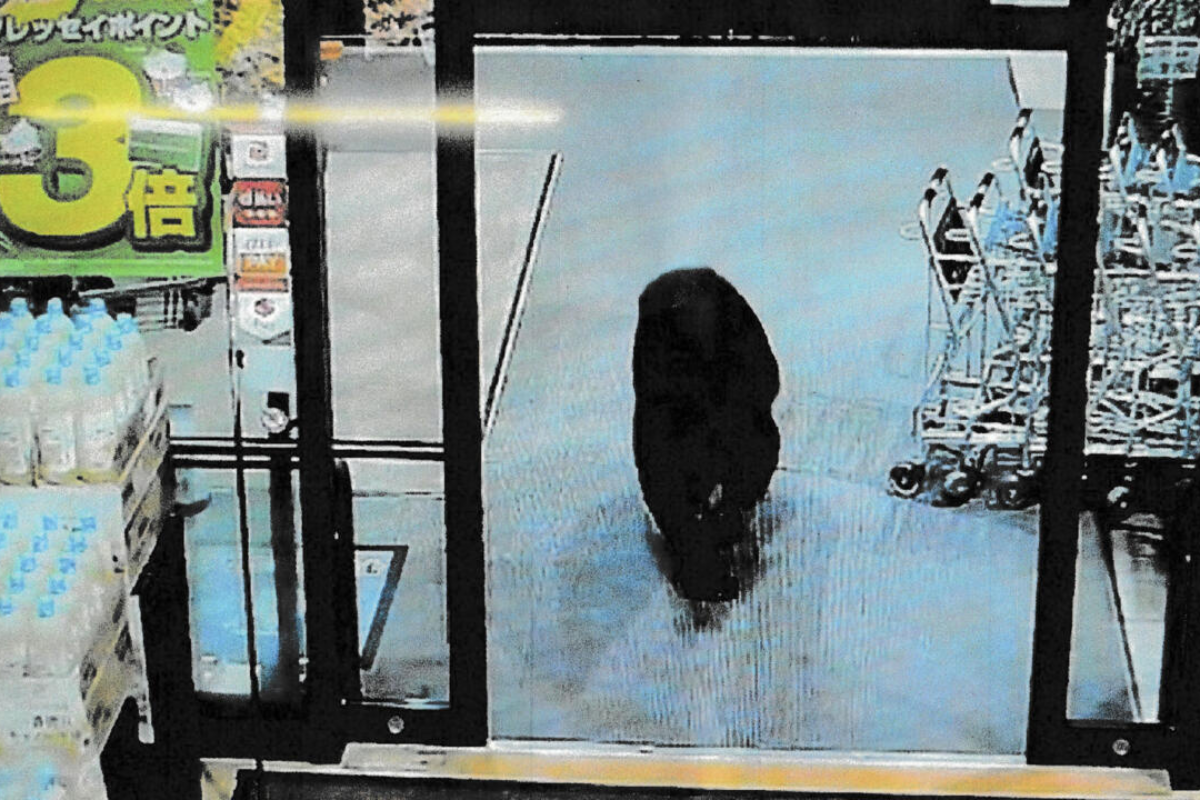 Bear Injures Two in Japanese Supermarket; Man Killed in Separate Attack