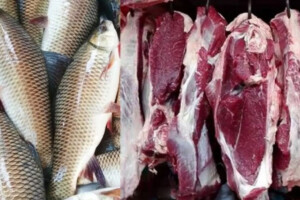 Bihar Implements Statewide Ban on Open Meat Sales