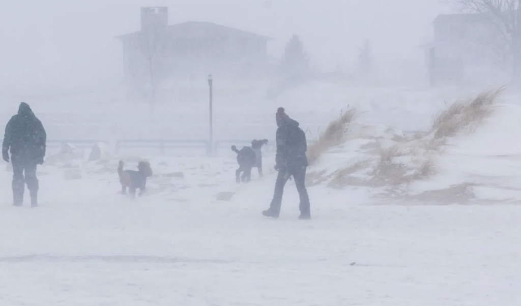 blizzard and cold snap devastate united states Blizzard and Cold Snap Devastate United States