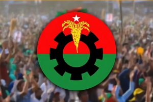 BNP Marks its 47th Founding Anniversary Today