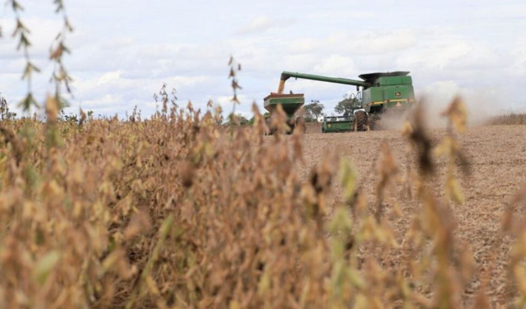 Bolivia’s Farmers Hope Election Will End Fuel Shortages and Revive the Economy 2 bolivias farmers hope election will end fuel shortages and revive the economy Bolivia’s Farmers Hope Election Will End Fuel Shortages and Revive the Economy